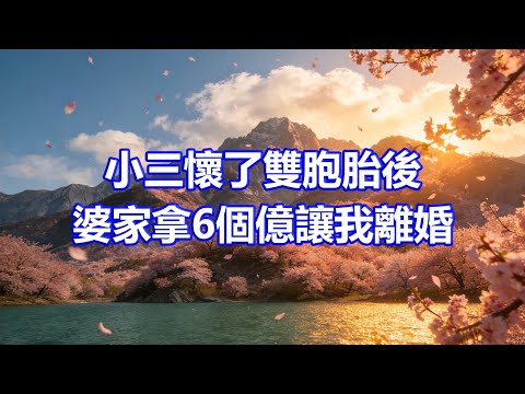 小三懷了雙胞胎後,婆家拿6個億讓我離婚,我乾脆簽字出國,悄悄跟小三辦婚禮的丈夫,收到離婚證和孕檢單傻眼了