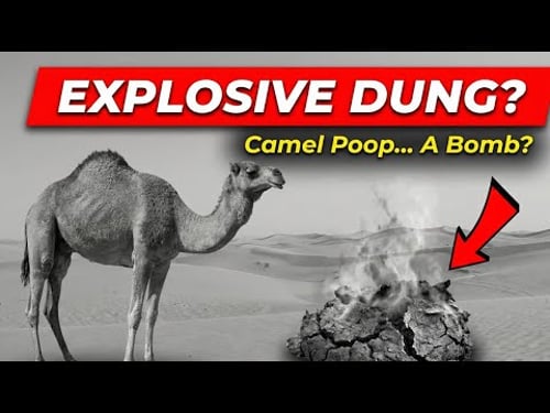 Why This ‘Revolting’ British Weapon Made Nazi Bomb Squads Refuse to Touch It Completely