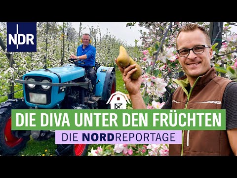 Süße Früchtchen: Birnen erobern das Alte Land | Die Nordreportage | NDR