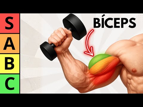 The BEST biceps exercises to build strength and make your arms bigger and stronger