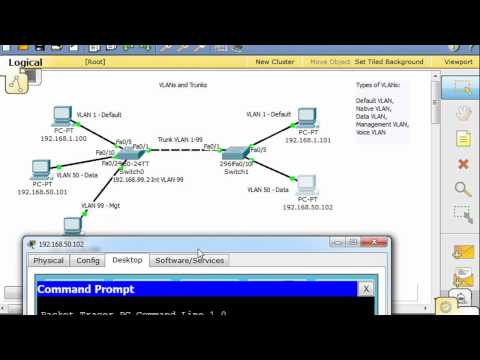 VLANs and Trunks for Beginners - Part 4