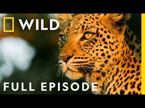 Outcasts Rising (Full Episode) | Savage Kingdom