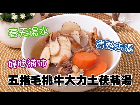 五指毛桃牛大力土茯苓湯|春天湯水|去濕湯水|清熱去濕|健脾補肺|強健筋骨