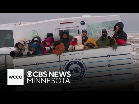 This Canada town is a bucket list trip for visitors from around the world