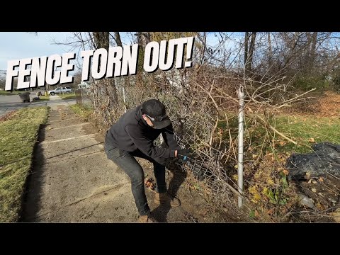 "EXCUSE ME, what are YOU DOING??" -- Neightbors CONFUSED by FREE property RESTORATION.