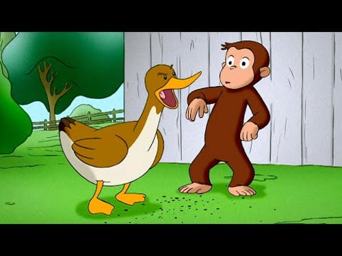 George and the Ducklings ๐ฅ๐ต Curious George ๐ต Animal Friends