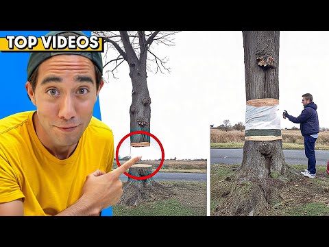 ILLUSIONS THAT FOOLED THE INTERNET! 💻 | Zach King