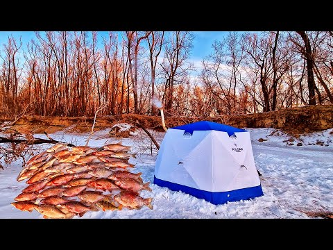 РЫБАЛКА С НОЧЁВКОЙ. СЛАБОНЕРВНЫМ НЕ СМОТРЕТЬ- намолотили мешок рыбы! Такого клёва не бывает!