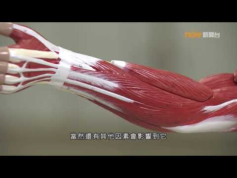 【杏林在線】減脂增肌的陷阱