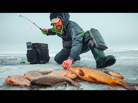 Lowered the CAMERA and saw, Wild boars don't climb into the hole, Dropped the Fishing Rod, EEEE, ...