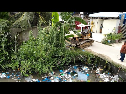 Completed Projcet Remove Garbage and forest by Trucks and Bulldozer Start to Pushing rock to fill in