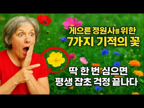 게으른 정원사를 위한 7가지 기적의 꽃! 딱 한 번 심으면 평생 잡초 걱정 끝납니다