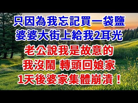 只因為我忘記買一袋鹽,婆婆大街上給我2耳光,老公說我是故意的,我沒鬧 轉頭回娘家,1天後婆家集體崩潰!#詩涵講故事#為人處世#生活經驗#情感故事#晚年哲理#說故事#完結文#原創故事