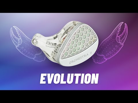 This always happens. Kiwi Ears Orchestra 2 review