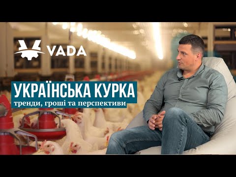 Українська курка: тренди, гроші та перспективи
