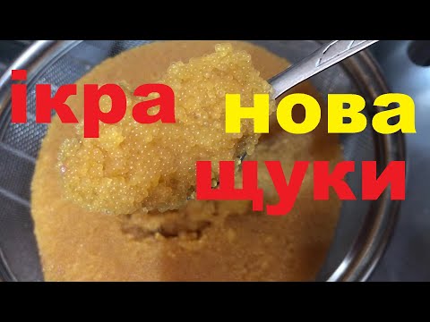 ІКРА ЩУКИ МІКСЕРОМ. Це ДУЖЕ ШВИДКО.