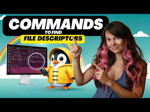File Descriptor Explained. Linux Commands You Thought You Don’t Need To Know