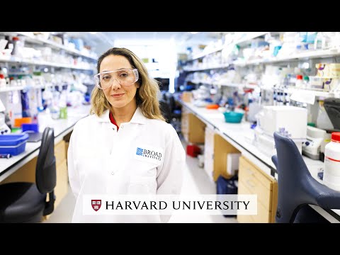 Harvard's Pardis Sabeti on stopping pandemics before they start