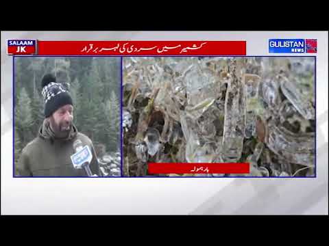 Cold Wave Continues in Kashmir | MeT Forecasts Year-End Snowfall