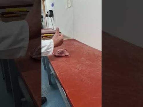 Picanha cutting with Franco.