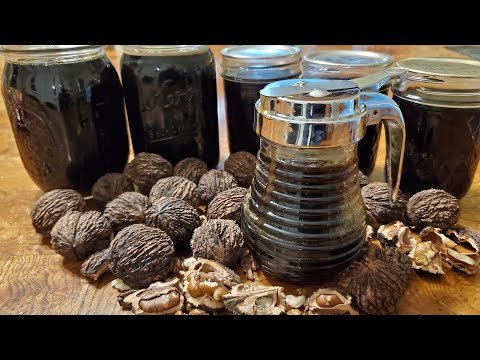 Making Black Walnut Syrup
