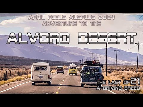 VW Camper Van Cruise to the Alvord Desert | April Fool's Ausflug 2024