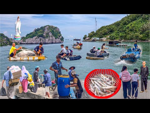 Đảo Hòn Nghệ Mùa Mực Nháy Xúc Mực | Hòn Đảo Cách Đất Liền Chỉ 15km