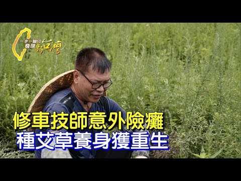 【南投】用心堅持不怕難!修車師脊椎傷後鑽研艾草 重拾健康自信∣一步一腳印【艾草園裡站立重生】20210919