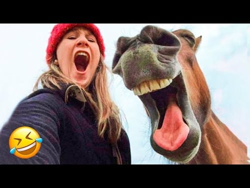 Funniest Cats and Dogs Clips of 2025😼🐶You Laugh You Lose😜