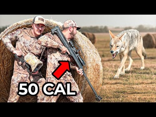 We Hunted Coyotes with a 50 Cal Sniper Rifle! (Again)