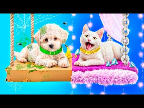 We bouwen een stapelbed voor huisdieren!