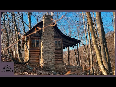 Bushcraft Constructing Your Own House in the Forest. Alone bushcraft in the forest.