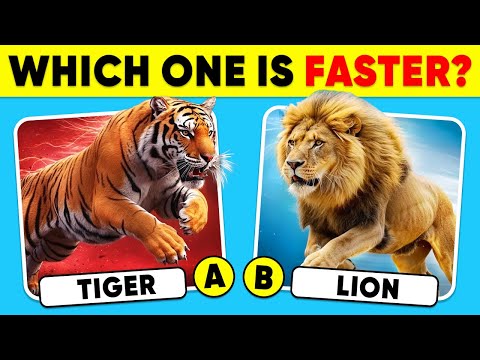 How Well Do You Know ANIMALS? ππ―β
General Knowledge Trivia Quiz