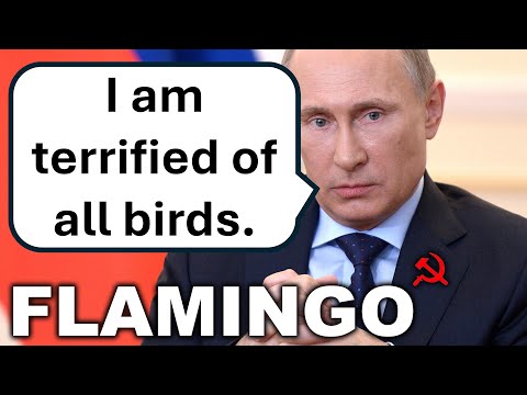 Russia Paralyzed by Ukraine's New Cruise Missile