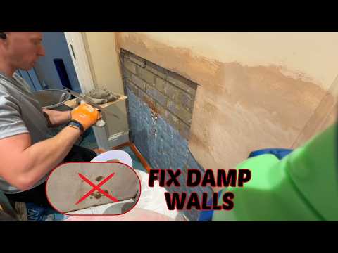 How to Fix Damp Plaster Like a Pro – Step-by-Step Guide!