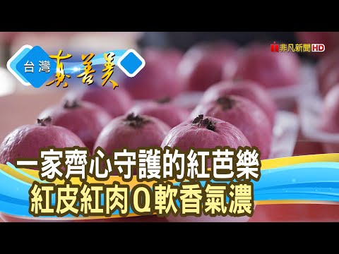 守護父親的“紅芭樂園”|紅芭樂創意料理|【台灣真善美】2023.11.19