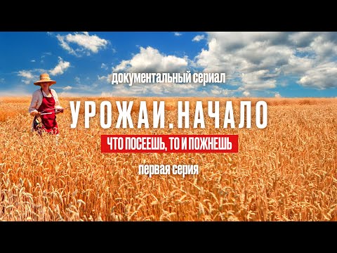 Что посеешь, то и пожнешь. Серия 1 | Документальный сериал УРОЖАИ. НАЧАЛО | Селекция и семеноводство