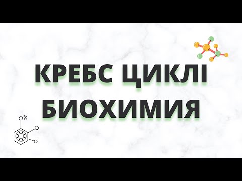 КРЕБС ЦИКЛІ || ТҮСІНІКТІ ТІЛДЕ КӨМІРСУ АЛМАСУЫНЫҢ БИОХИМИЯСЫ