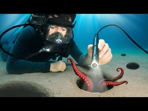 I Sent a Micro Camera Down 100 Holes on the Ocean Floor