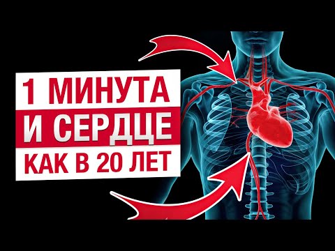 ЭТО снизит РИСК ИНФАРКТА! / Основные причины и признаки проблем с сердцем и сосудами