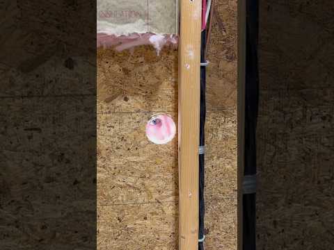 My dream woodworking shop! #diy #hardwoodflooring #woodworking #dreamshop