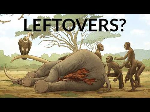 What Did Humans Evolve To Eat?