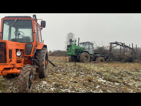 T-150 ехали за дровами, застрял в грязи, мтз-82 сила 💪 T-150 got stuck in the mud