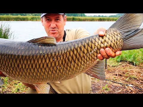 I FEED A LARGE WHITE CAMPRON FOR 2 DAYS! WE'RE MAKING DELICIOUS BEEF ON A FISHING TRIP!