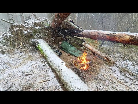 Snowstorm Shelter between Fallen Trees with Campfire. Solo Bushcraft Survival