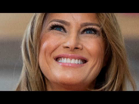 What Really Happens If Melania And Donald Trump Get Divorced?