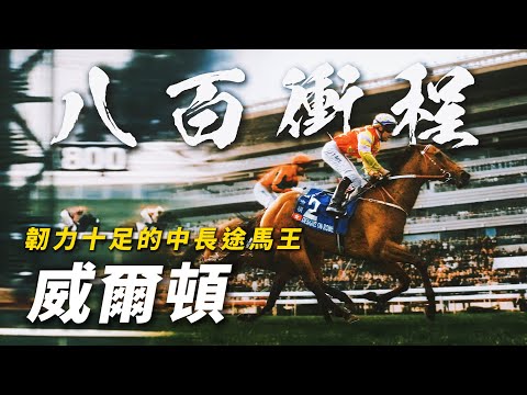 超強800米衝程!天分與鬥志兼備的中長途馬王|威爾頓|莫雷拉跑錯驚被約翰摩亞換走|「爪皇凌雨」後史上第二匹完成香港2000米一級賽大滿貫賽駒|#賽馬物語