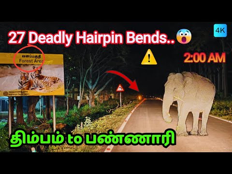 👉27 ஆபத்தான கொண்டை ஊசி வளைவுகளை 😳கொண்ட "Sathyamangalam Tiger Reserve" Thrill Drive @JungleDatabase👍