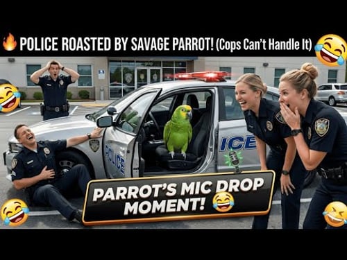 5 ESSENTIAL Tips to Understand Your Parrot's Behavior