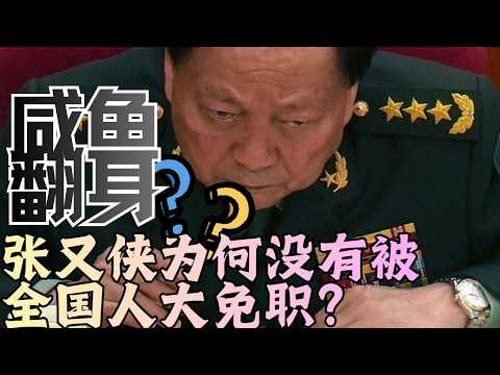 张又侠未提交全国人大罢免|赵乐际力保?咸鱼翻身?